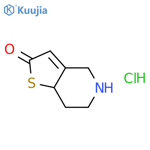 5,6,7,7a-Tetrahydrothieno3,2-cpyridinone Hydrochloride structure