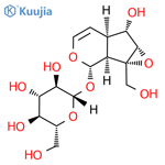 Catalpol structure