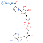 b-Nicotinamide Adenine Dinucleotide structure