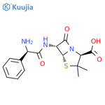 Ampicillin structure
